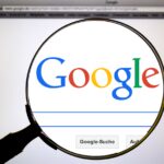 Google Search Evolves: The Impact of June 2024 Updates